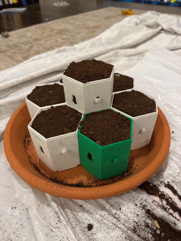 HexGarden photo 18