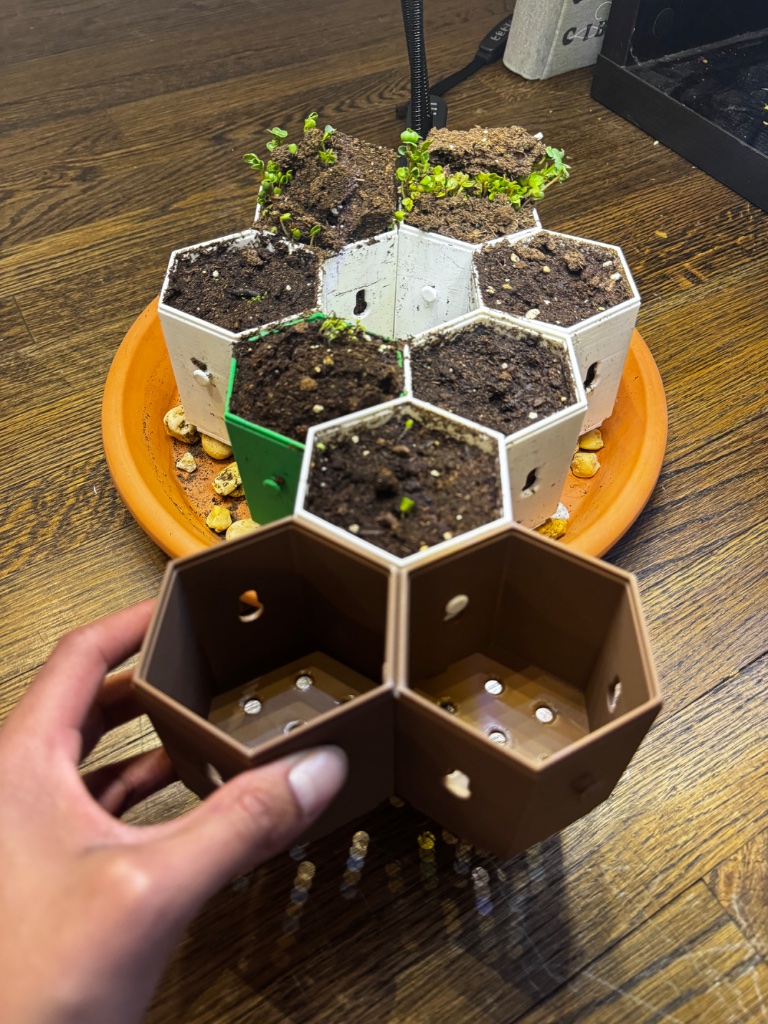 HexGarden photo 15