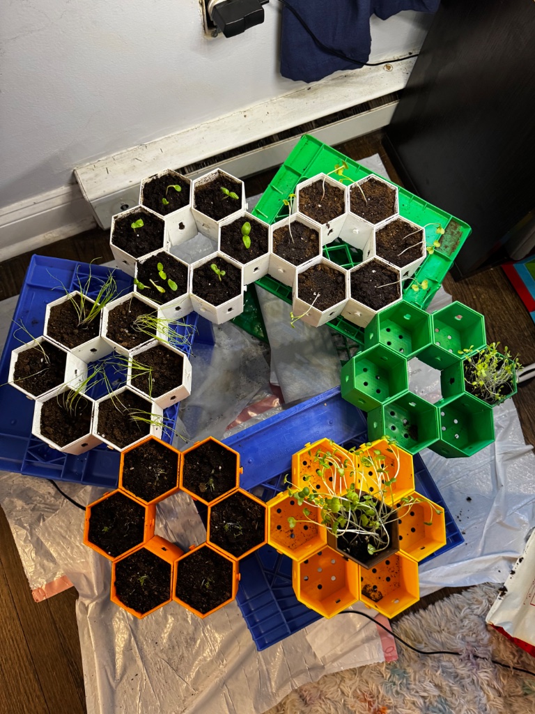 HexGarden photo 4