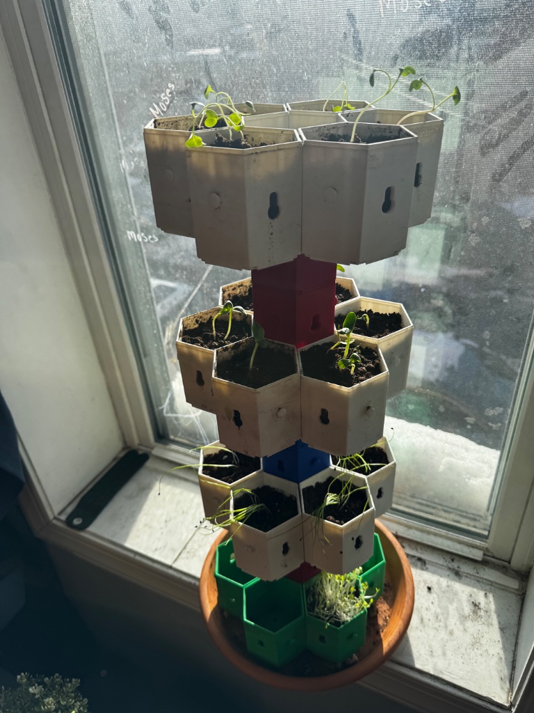 HexGarden photo 2
