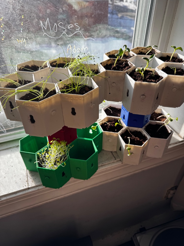 HexGarden photo 3