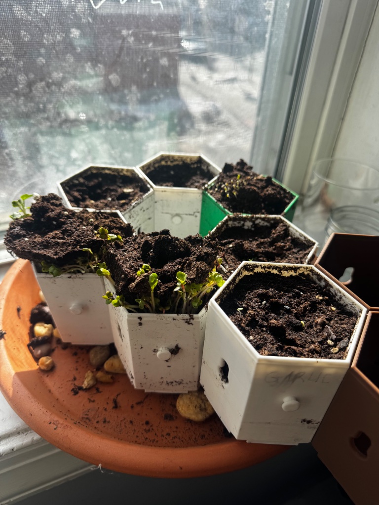HexGarden photo 17
