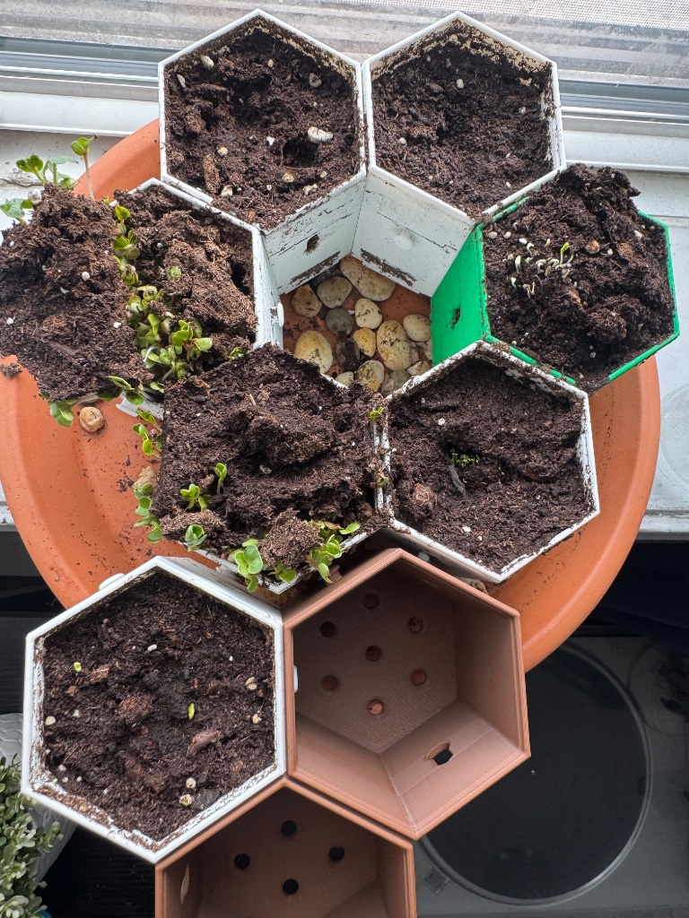 HexGarden photo 16