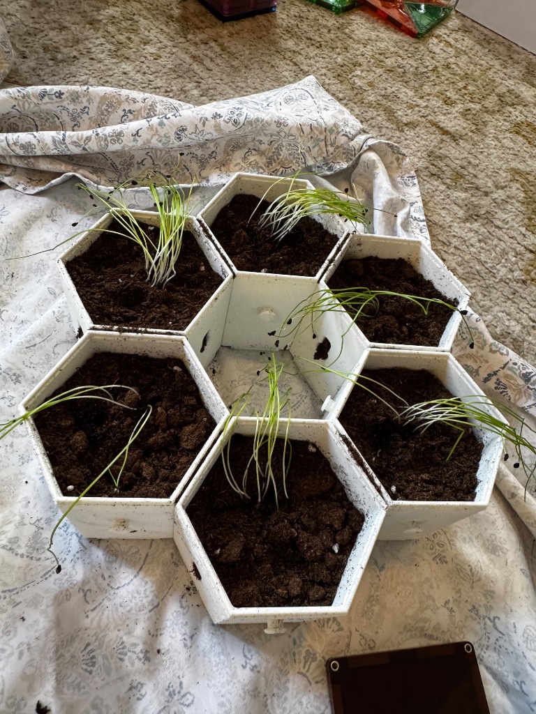 HexGarden photo 5