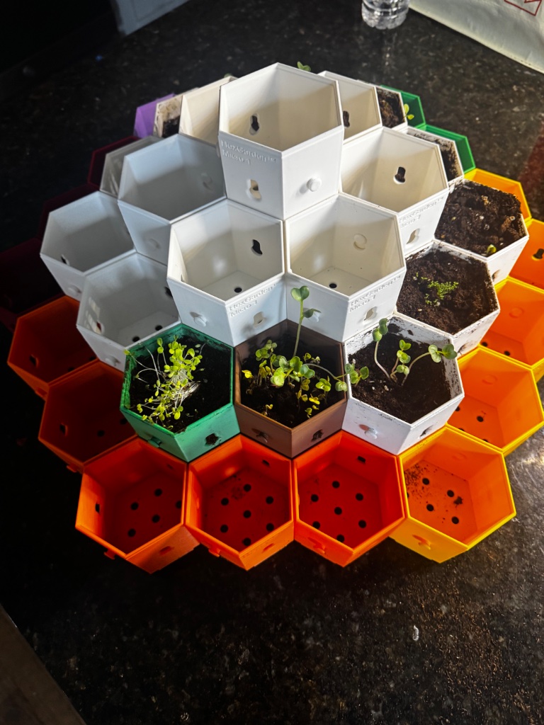 HexGarden photo 9