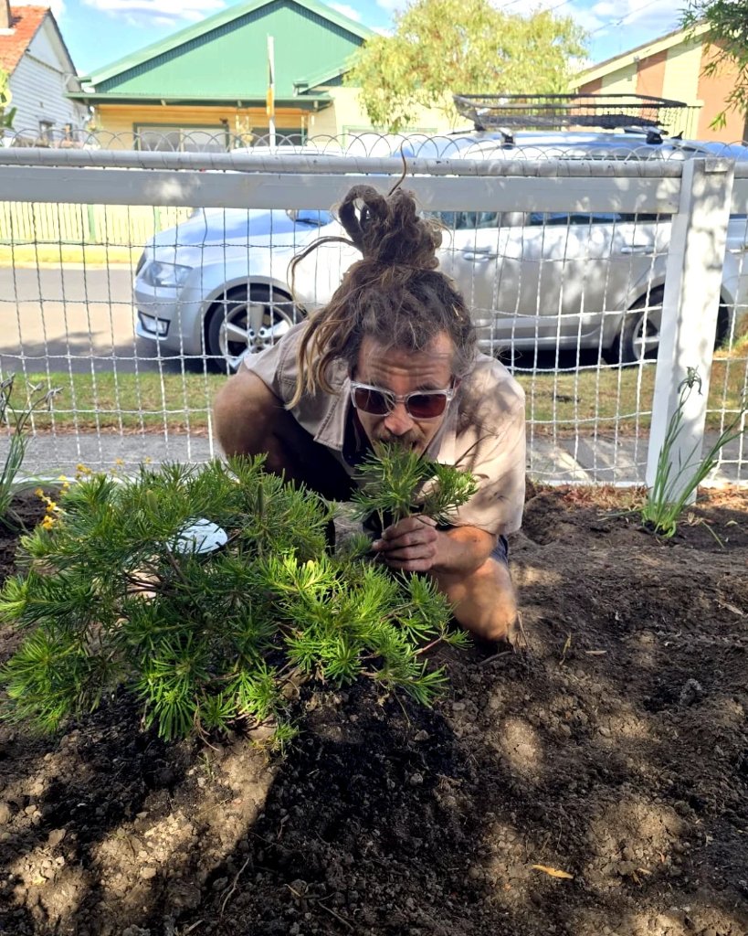 Cameron, Landscape Specialist at Saxon Garden and Landscapes