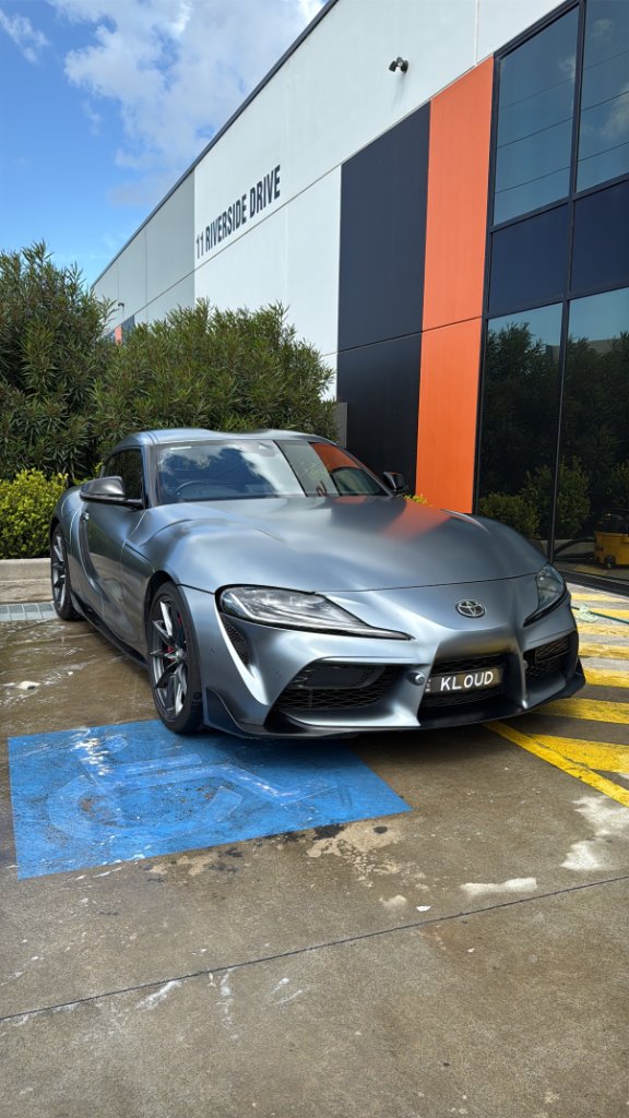 Car detailing professional