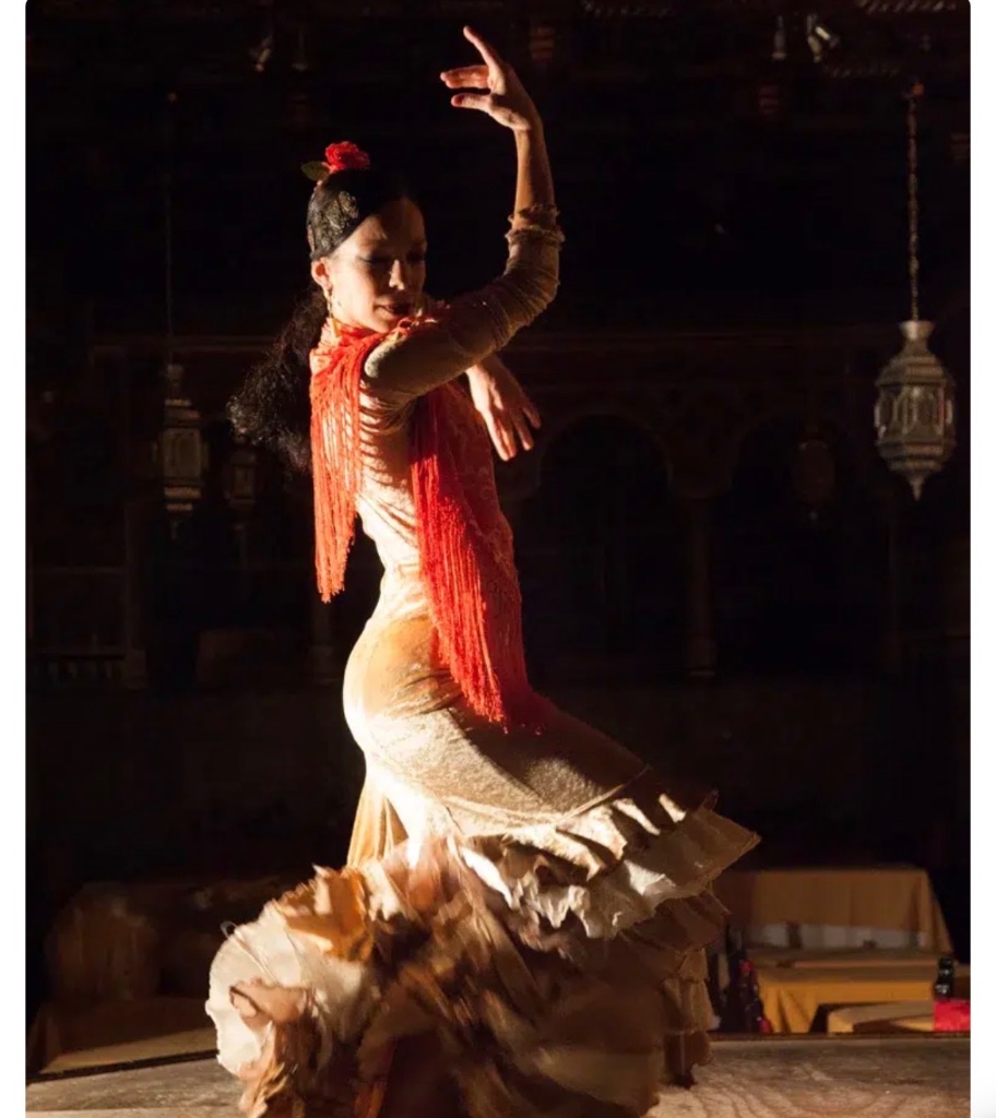 Bailaora flamenco Torres Bermejas