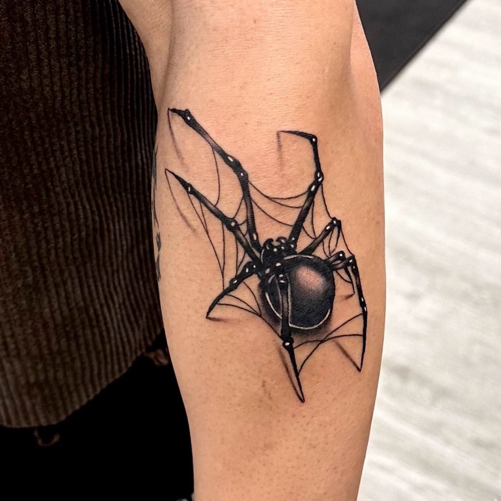 Black widow spider