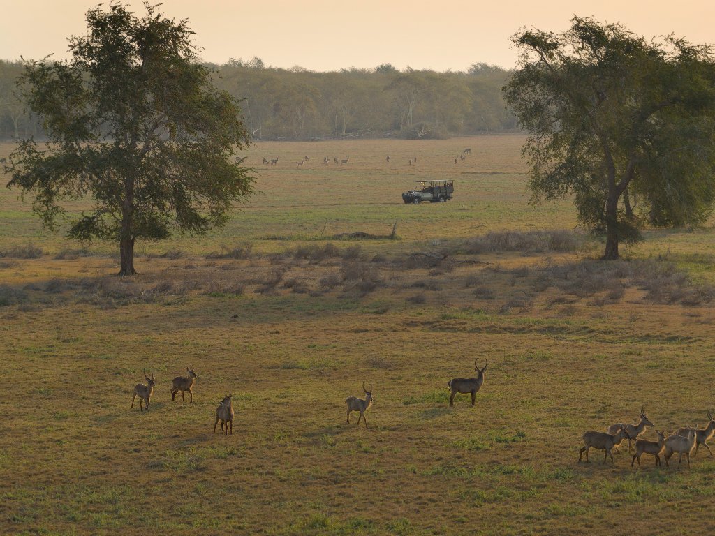Gorongosa Safari Experience