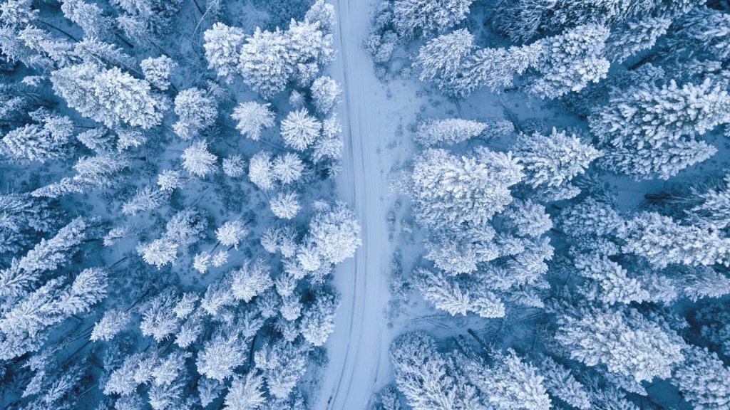 L'inverno sta arrivando! GTLOM è il tuo alleato per un inverno caldo e sostenibile