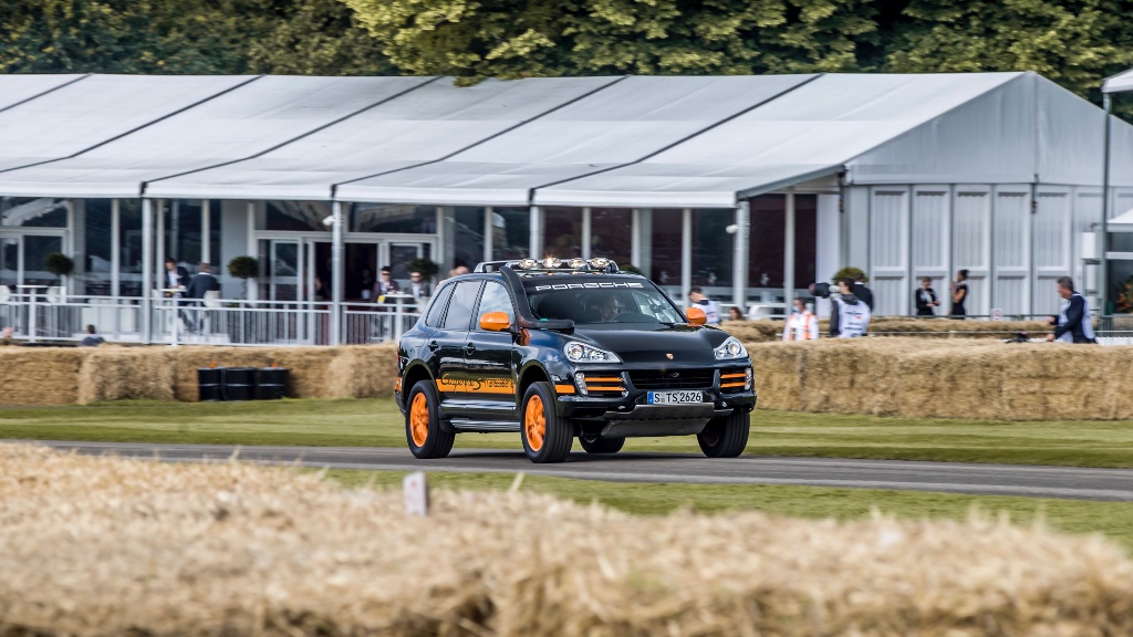 Goodwood Paddock