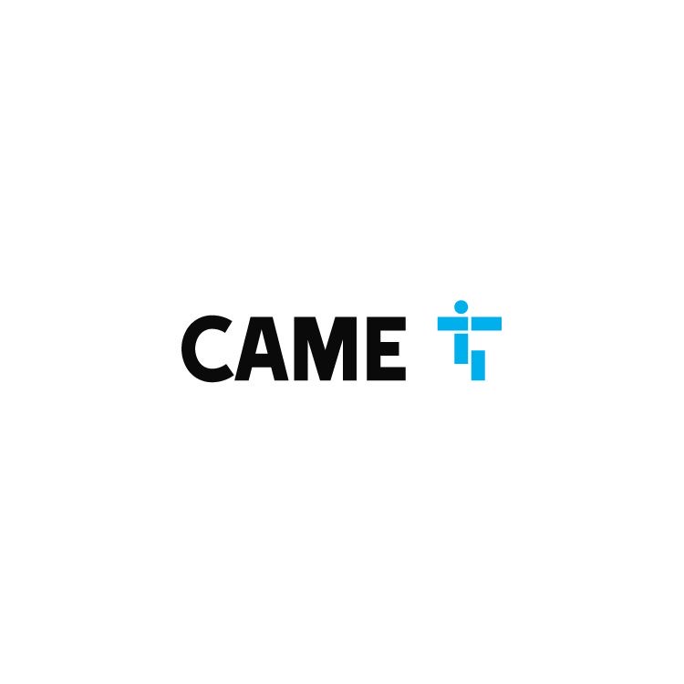 CAME Gate Automation Systems