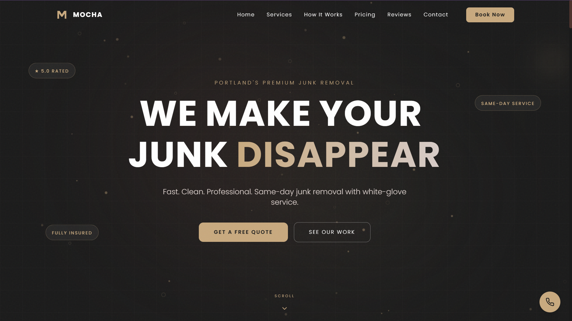 Mocha Junk Removal  template preview
