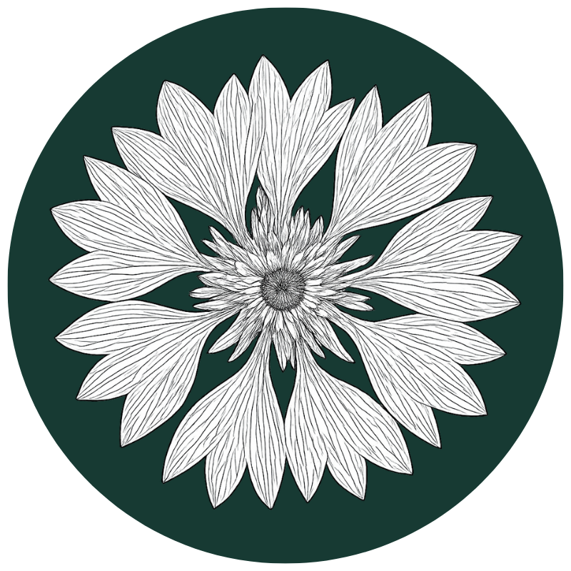 Finnaro Logo