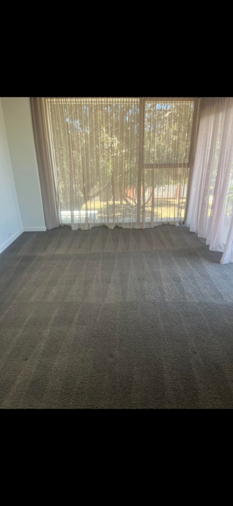 Carpet Cleaning
