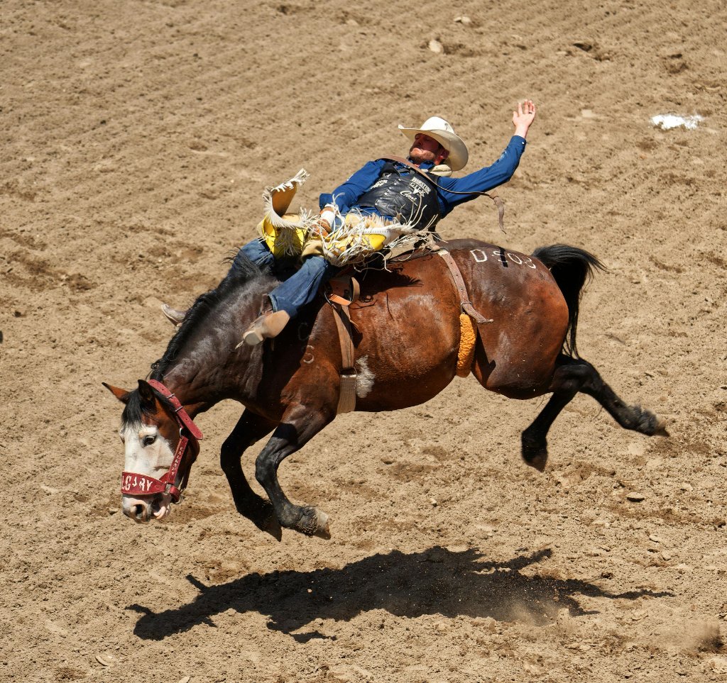 Shonto Rodeo Chino Rodeo