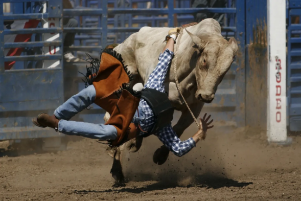 Event Schedule | Chino Rodeo