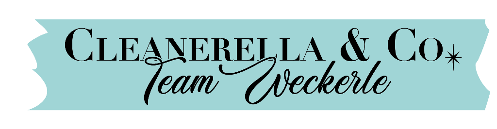 Cleanerella und Co Team Weckerle