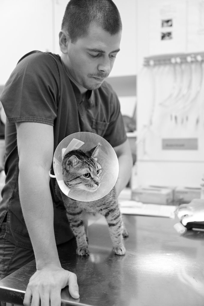 Veterinarno otdelenie Clinical Pathology - Veterinarna klinika Sin Krast Sofia