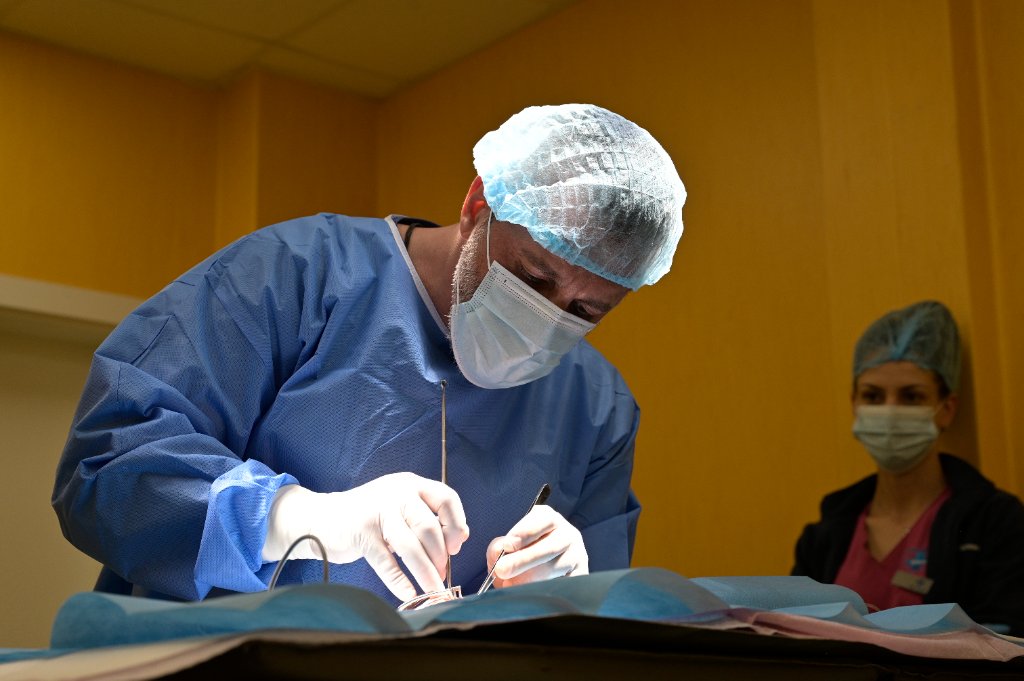 Veterinarno otdelenie Ортопедия и травматология - Veterinarna klinika Sin Krast Sofia