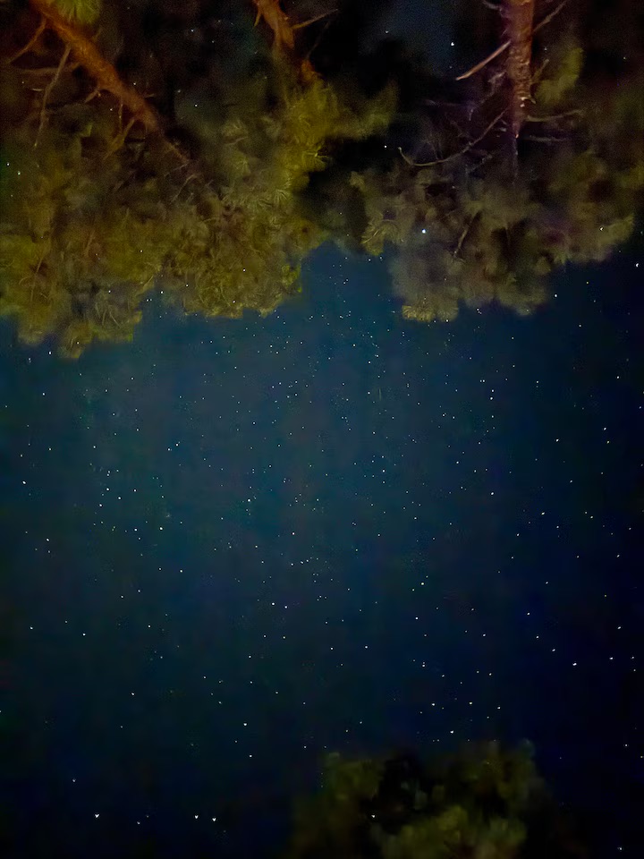Starry Night Sky