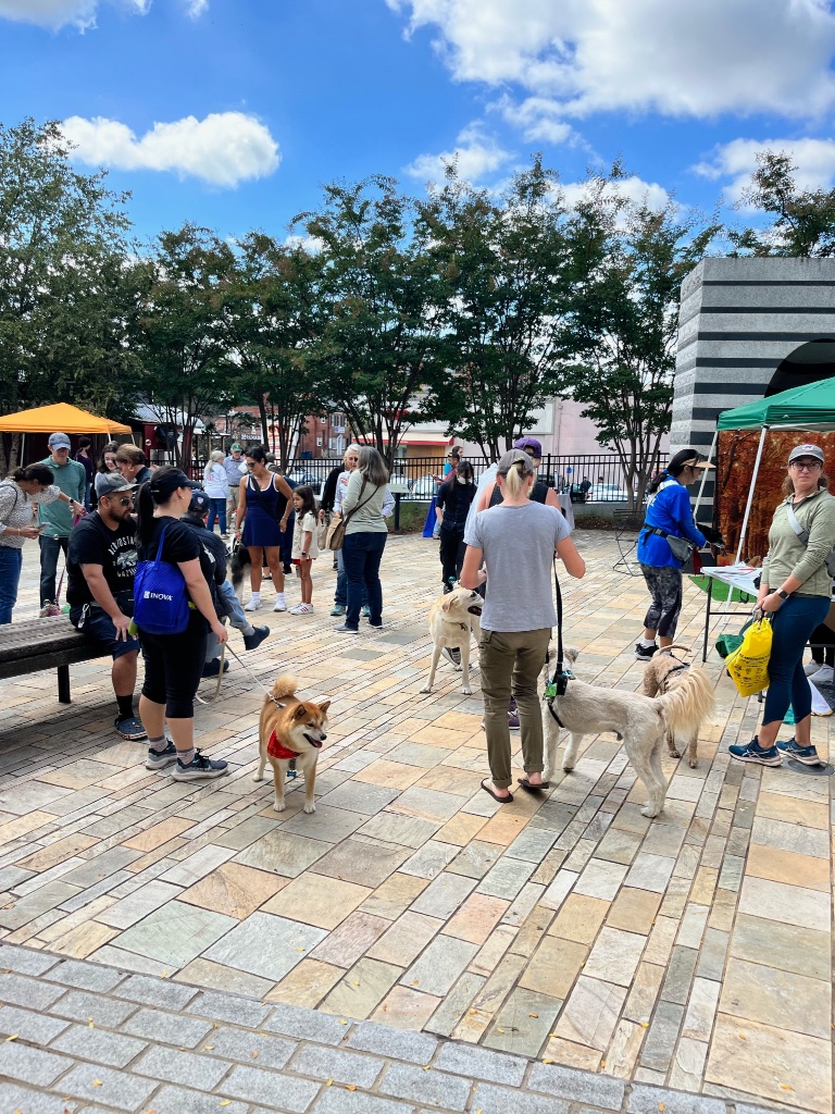Outdoor Pet and Adoption Events