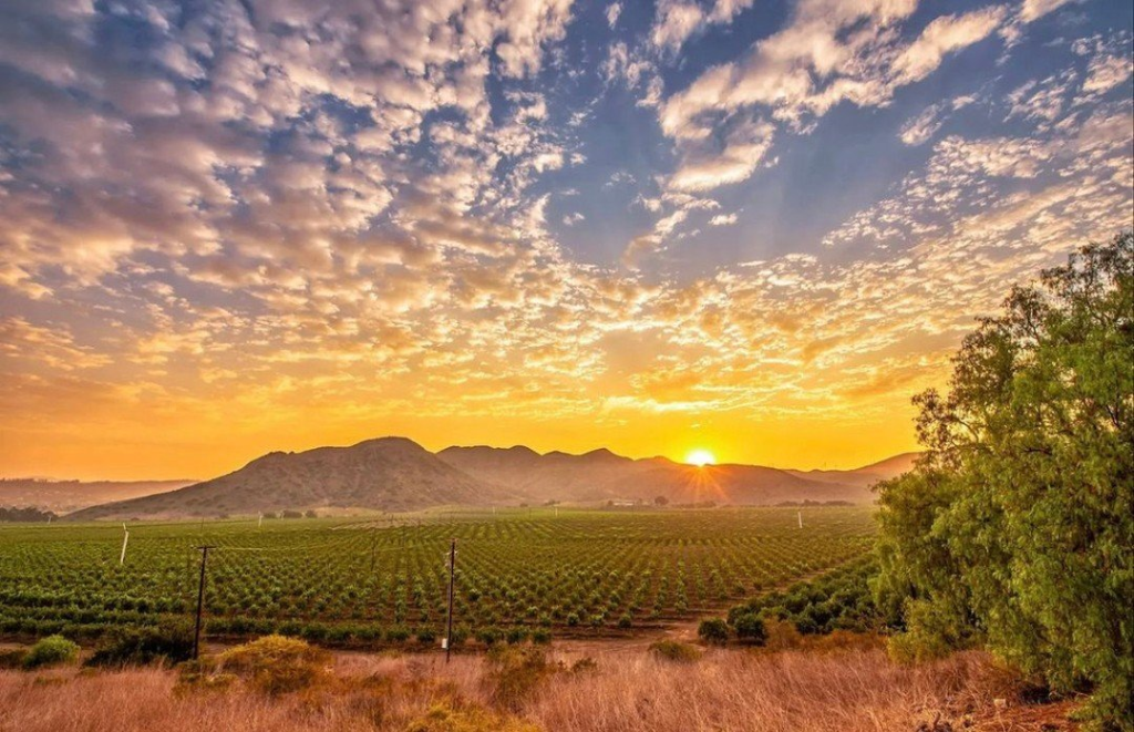 Ventura County sunset over farmland