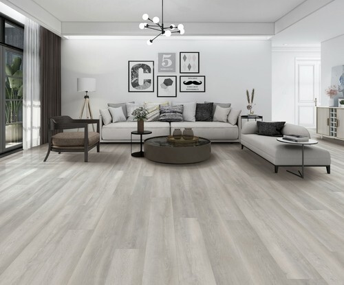Modern Gray