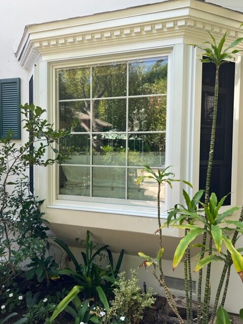 Gallery image 14