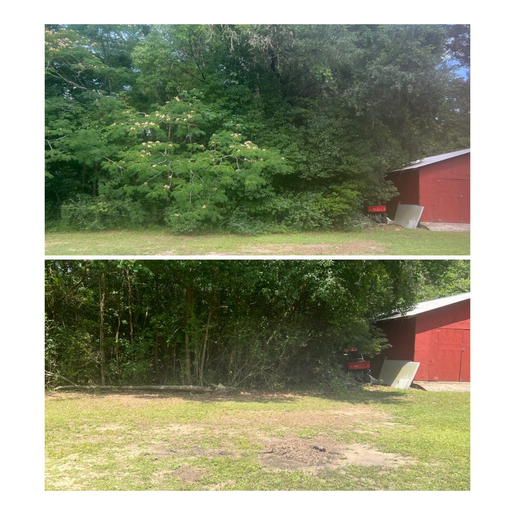 Property Line Restoration - Before