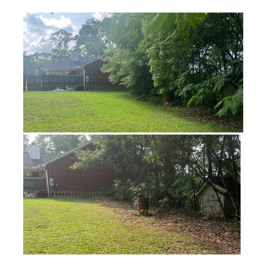 Backyard Transformation - Before