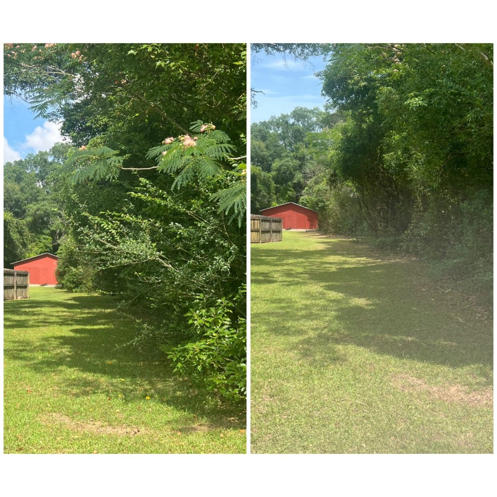 Property Line Restoration - After