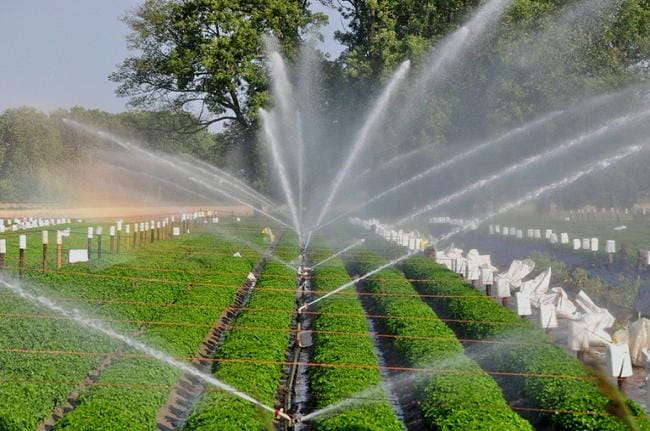Irrigation & Water Solutions