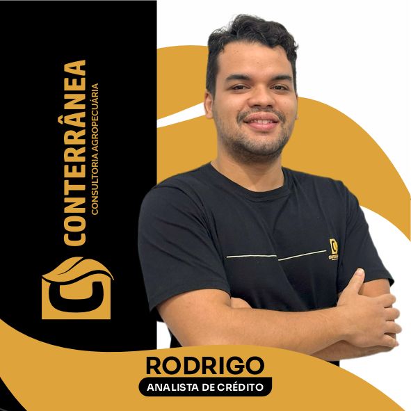 Rodrigo Henrique Mendes