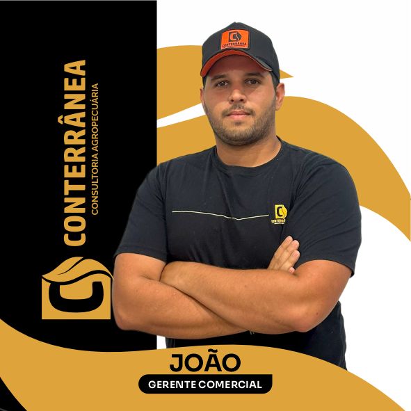 João Calixto Amorim