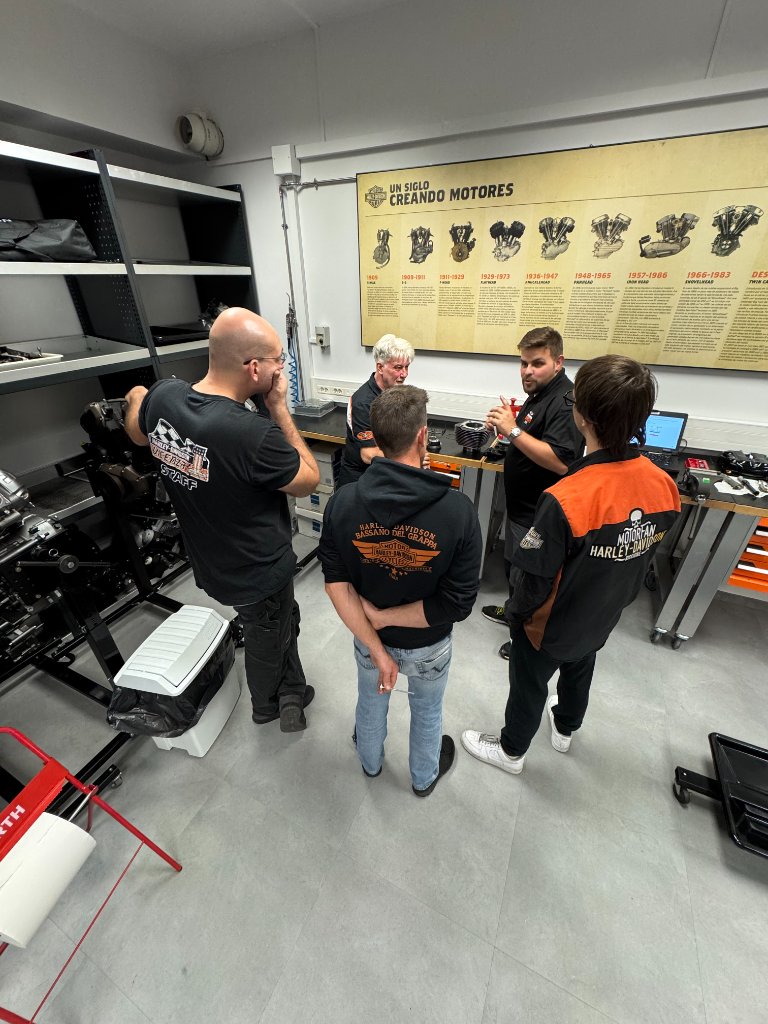 proyectos de desarrollo