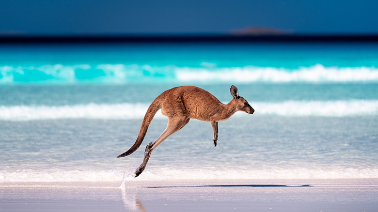 Australia