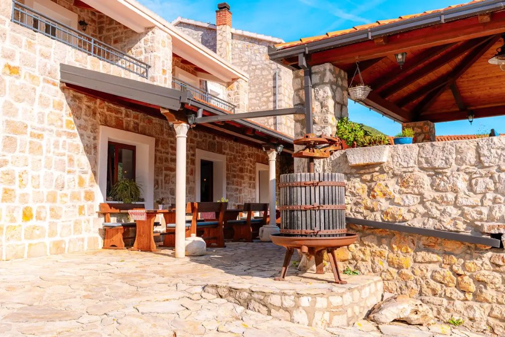 Olive Oil from Pelješac: Liquid Gold from Stone Terraces