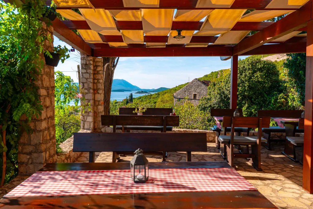 Olive Oil from Pelješac: Liquid Gold from Stone Terraces