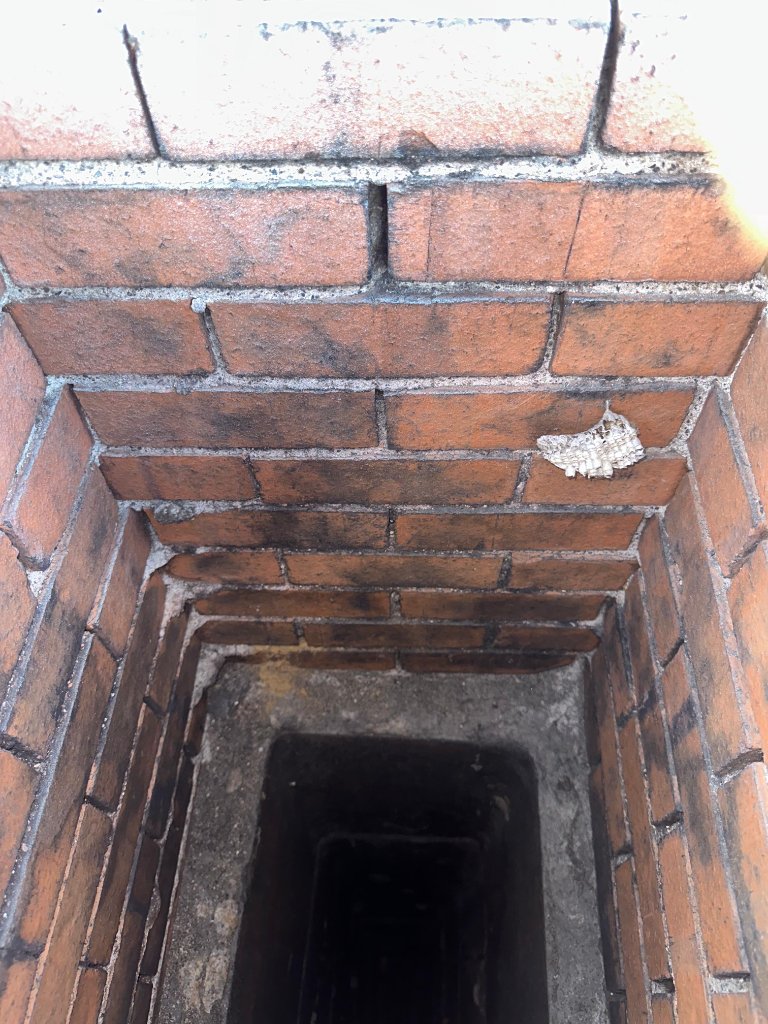 Flue inspection