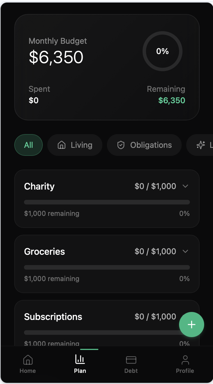 Budget  template preview