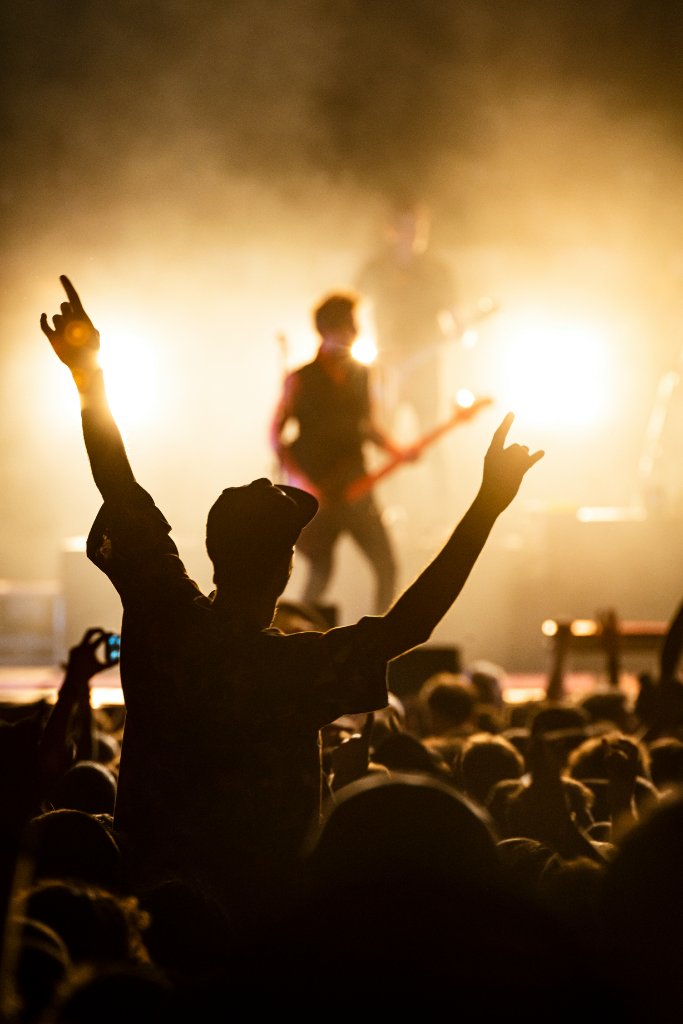 Concert crowd