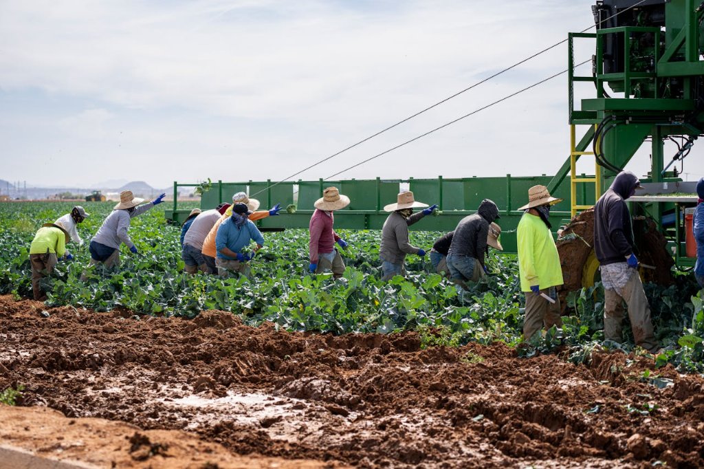 Agricultural workers