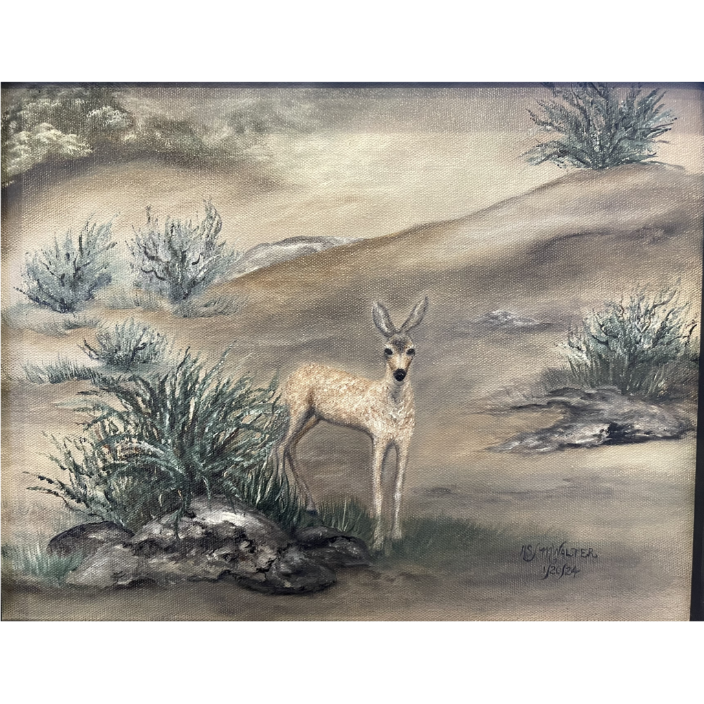 Springfawn