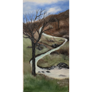 Sycamore Canyon Winter Solitude