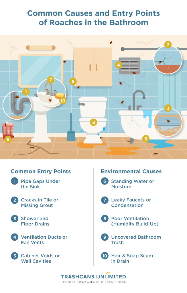 Common causes and entry points of roaches in the bathroom