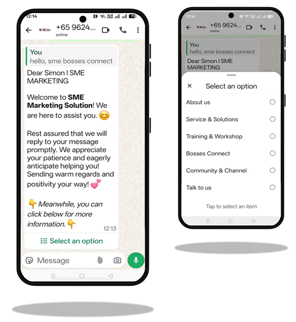 WhatsApp Automation Demo