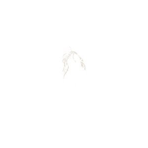 Brand 7