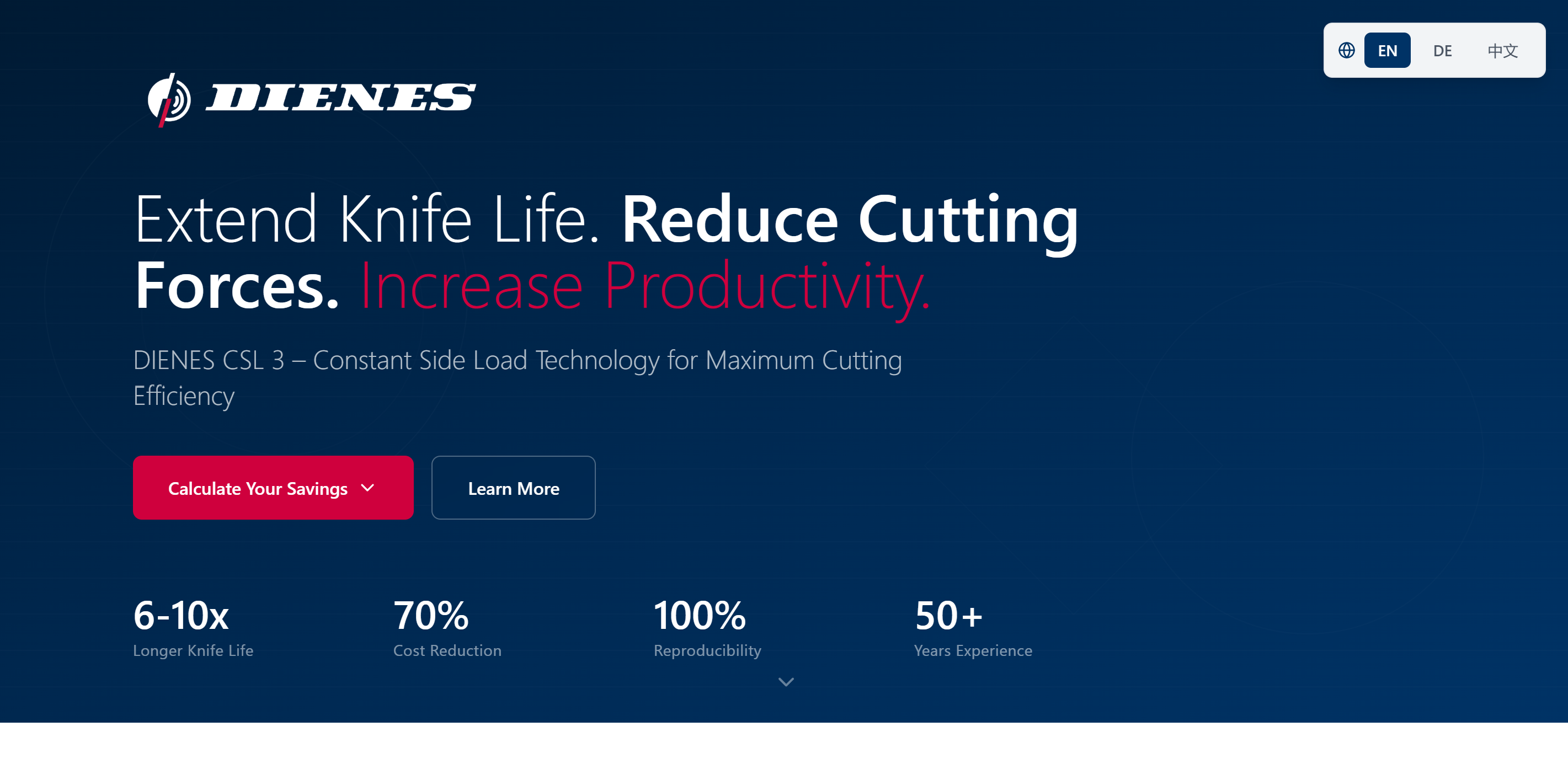 DIENES Landing Page (CSL) template preview